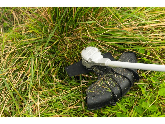 PRO Rezilo kosilnice Bosch za podrast, 25 cm, 2T, F016800667